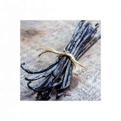 Préparation à base de Miel...