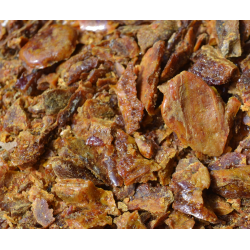 Propolis pure à macher 15 g