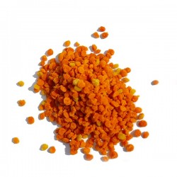 Pollen frais de ciste