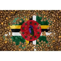 Café  République...