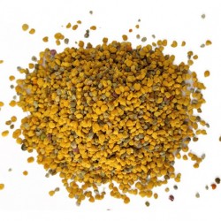 Pollen frais de châtaignier...