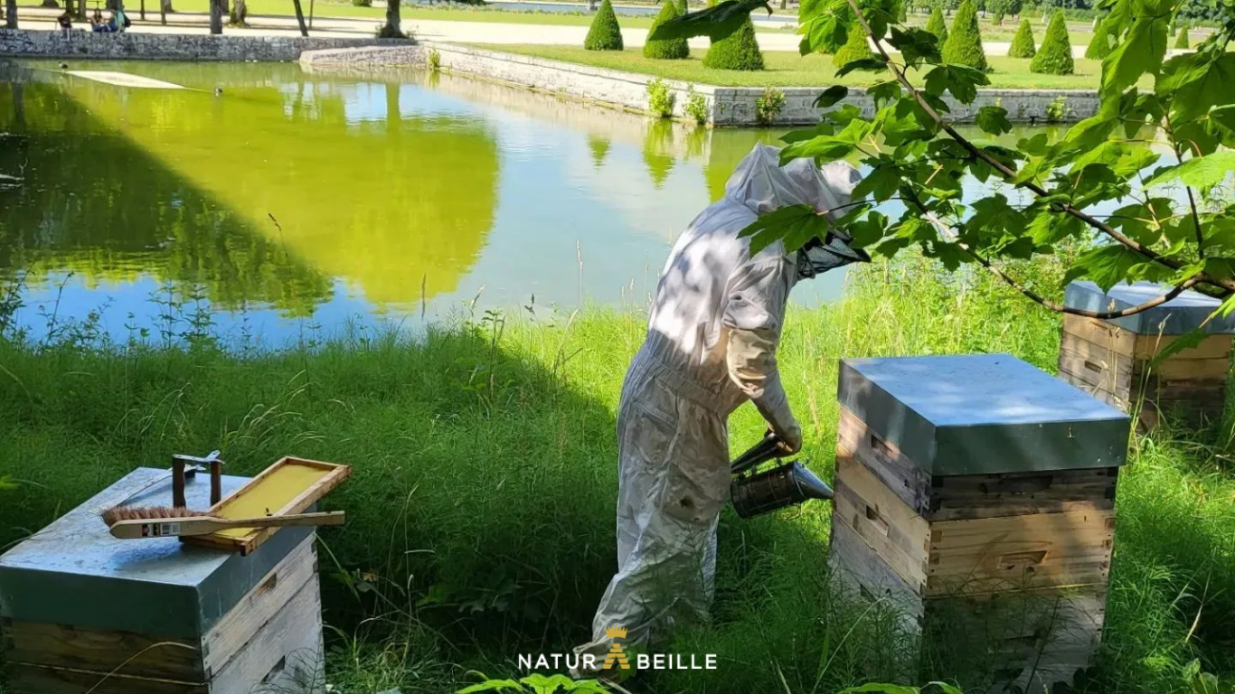 Naturabeille propose des miels de france et du monde sur sa boutique en ligne 