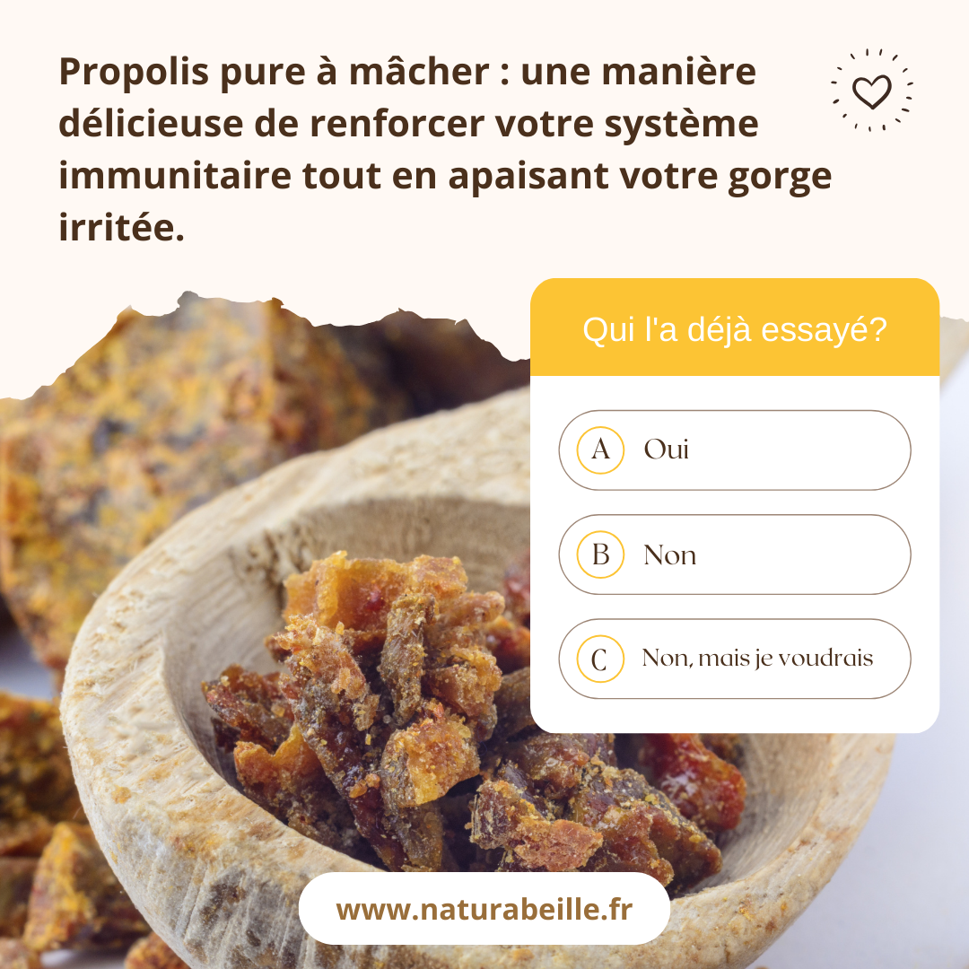 La propolis pure à mâcher de  chez Naturabeille