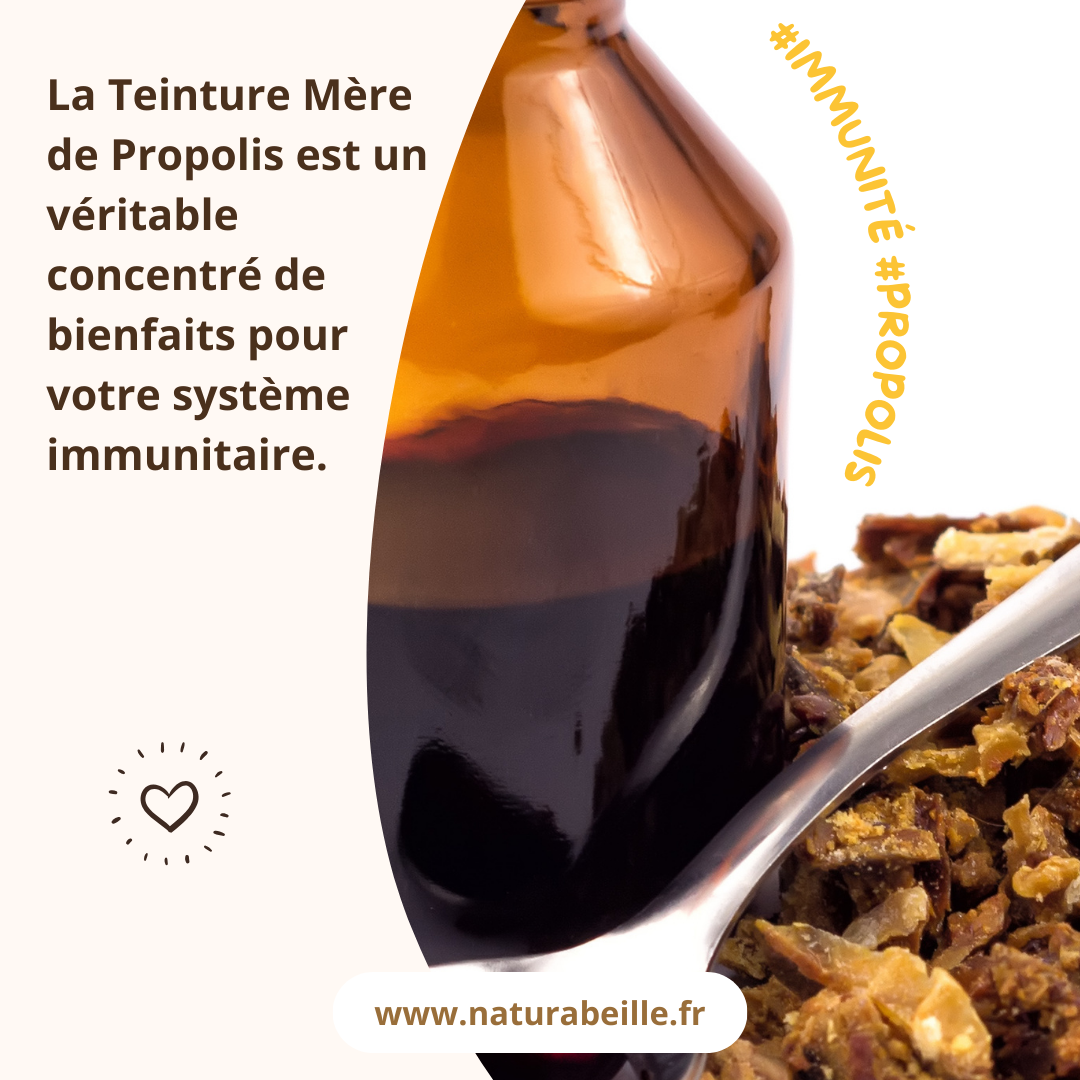 TEINTURE MÈRE DE PROPOLIS  chez naturabeille france 