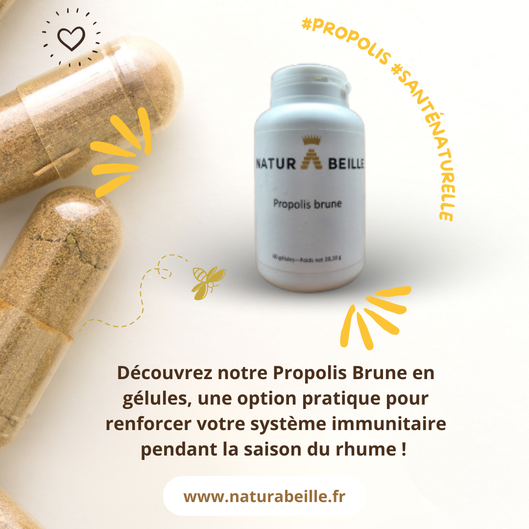 PROPOLIS BRUNE 60 GÉLULES de chez Naturabeille